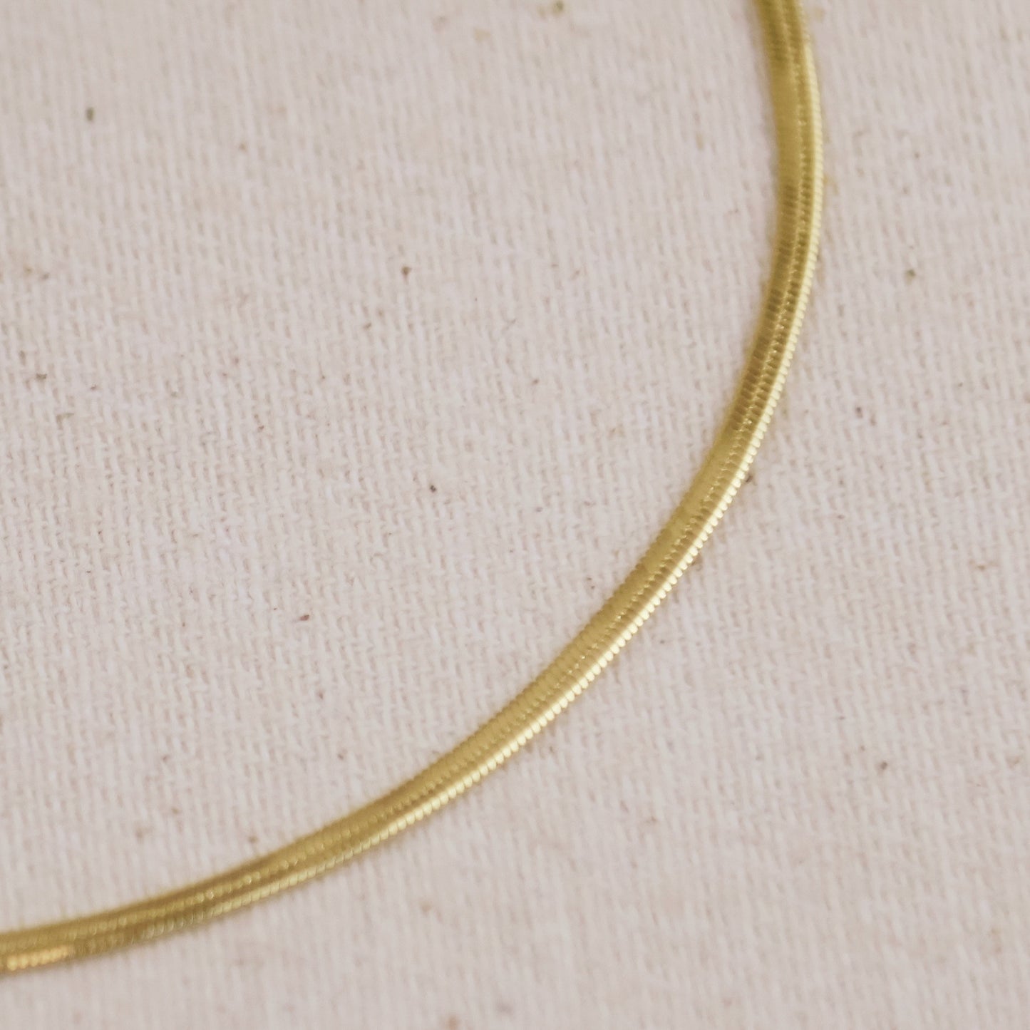 18k Gold Filled 2mm Herringbone Anklet