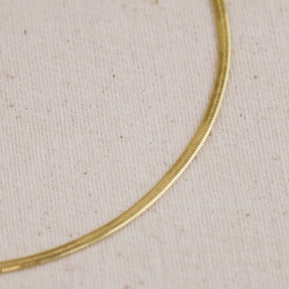 18k Gold Filled 2mm Herringbone Anklet