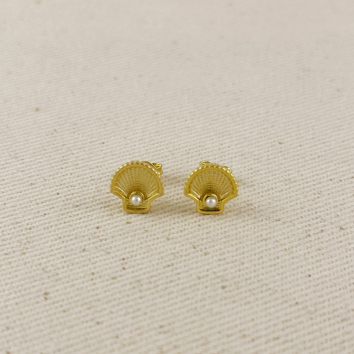 18k Gold Filled Seashell Stud Earrings