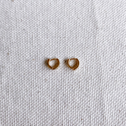 GoldFi 18k Gold Filled Petite Hoop Earrings